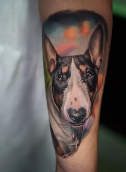 Retrato realista a color de un bull terrier en el antebrazo